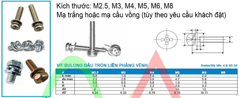 vit-lien-phang-venh